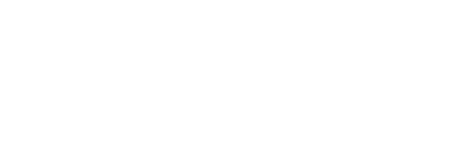 logo rdw wit